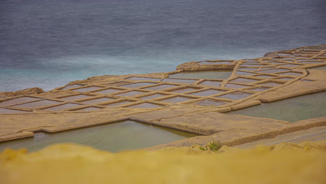 famosas salinas de la bahía de xwejni talladas en la piedra caliza a lo largo de la costa de gozo