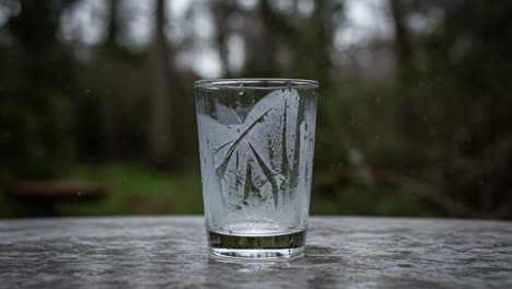 a transparent glass glimmering with water droplets on a stone surface surrounded by lush, blurred natural greenery in a mysterious outdoor setting