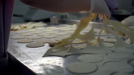 making dumplings or ravioli - industrial production