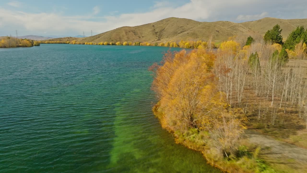 árboles de hoja caduca en la orilla del brazo del lago wairepo durante la temporada de otoño en nueva zelanda