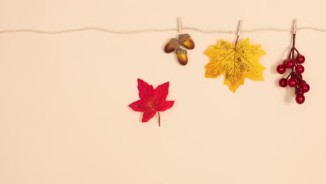 autumn decorations hooking on the rope and hang. stop motion