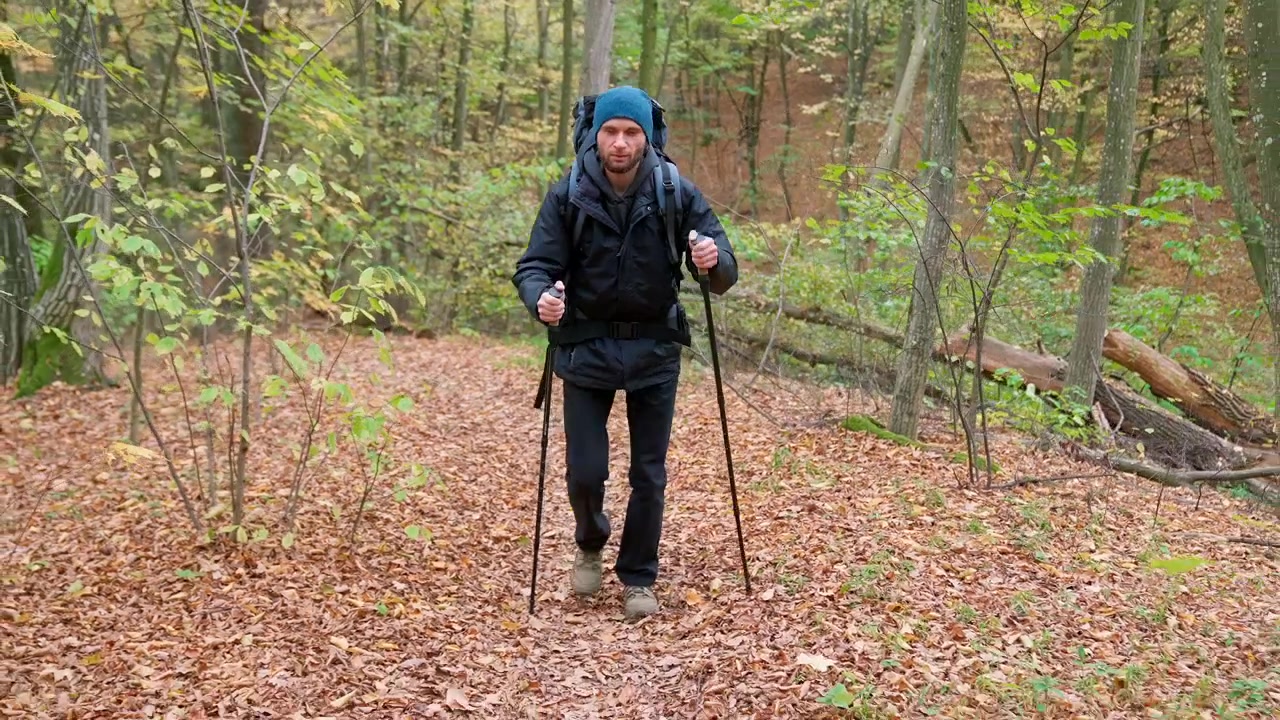 Man Hiking Through an Autumn Forest with Trekking Poles