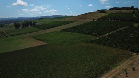 Rural-landscape-and-vineyards-in-Costagnole-delle-Lanze,-Italy