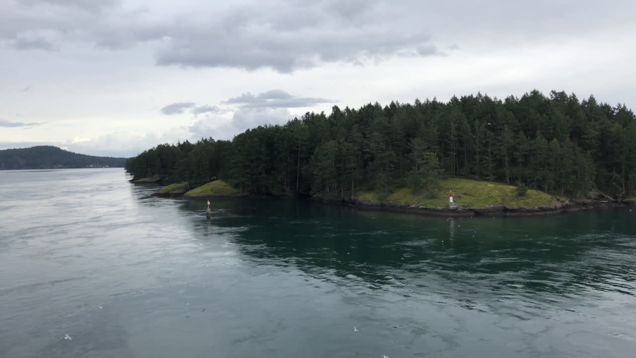 isla forestal rodeada de agua del océano