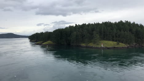 Waldinsel,-Umgeben-Von-Meerwasser