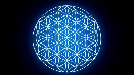 the flower of life forming sacred geometry symbol