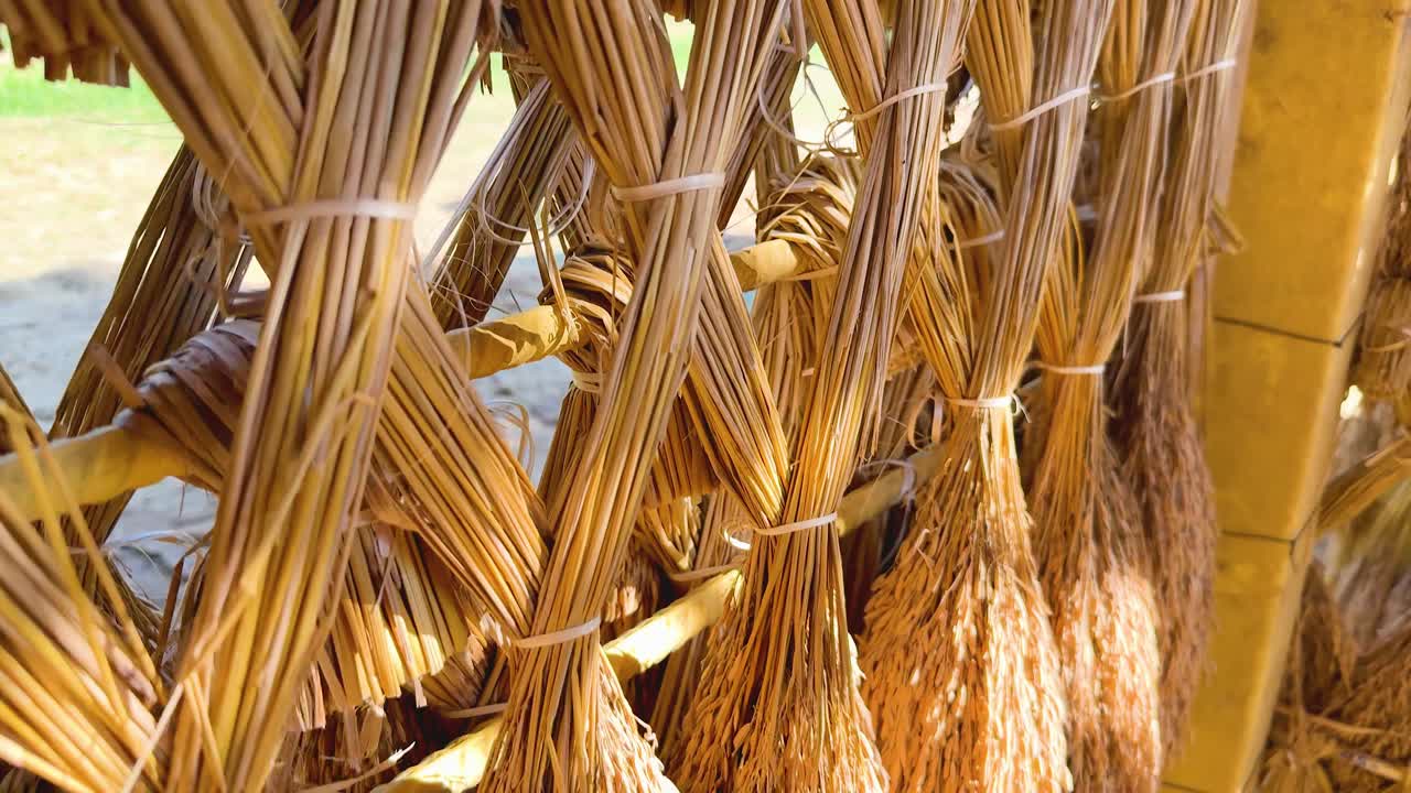 paquetes de arroz secándose en un campo soleado