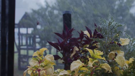 stormy day outdoors with water droplets falling on plants in slow-motion