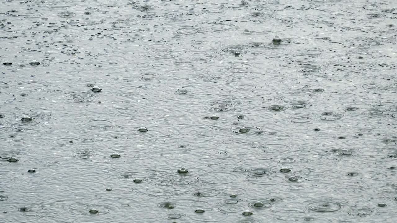 파란 하늘의 반사와 함께 웅이에서 물결을 일으키는 비방울