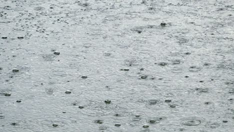gotas de lluvia ondulando en un charco con el reflejo del cielo azul
