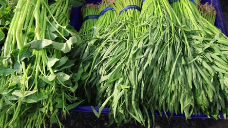 sorting and arranging fresh green vegetables