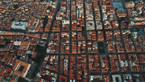 palermo old city, showing a maze of narrow streets, domes, and tiled roofs. sicily, italy aerial drone