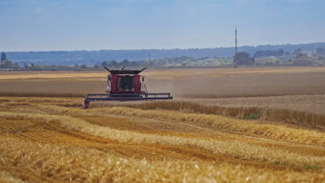 Front view of combine harvester working in the farmland. Yellow field and agricultural machine harvesting ripe crop in summer.