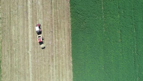 aerial top down hay makingtractor with making hay bales in an agricultural field farm split in green and yellow color, minimalist agricultural footage