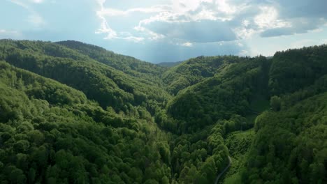 aerial forward flying footage of the devil's valley in the central slovakia