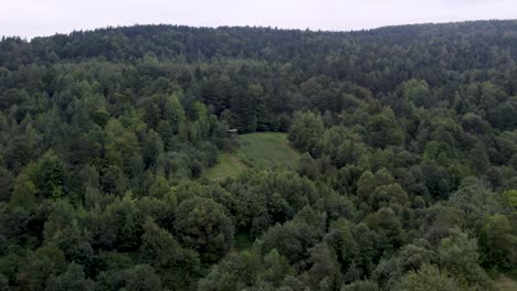 aerial shot of hunting pulpit in the middle of forest