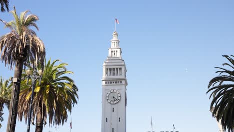 palms and a big clock on a pointy building