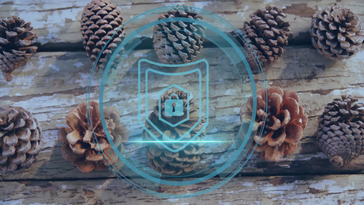 Pine cones sitting on weathered wood board, showing digital shield padlock overlay in security tech
