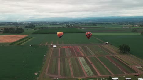 Jardín-De-Tulipanes-En-Oregon-Con-Globos-Aerostáticos