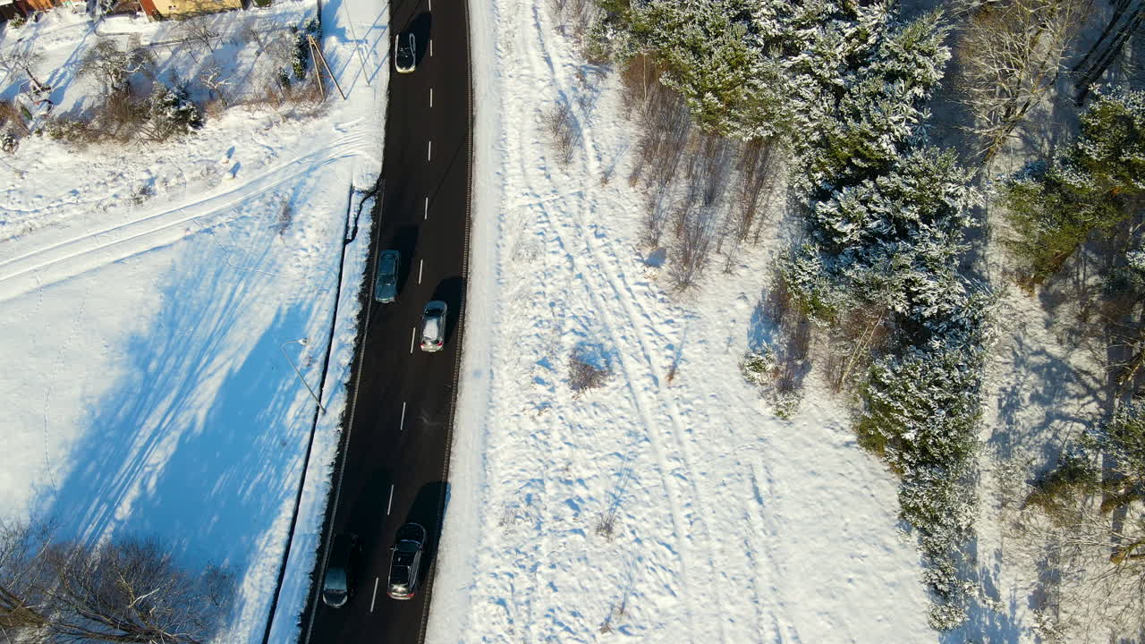 coches circulando por una carretera asfaltada con un denso bosque en gdansk, polonia