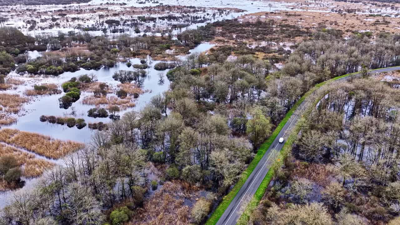 Una strada che si snoda attraverso le zone umide allagate del Parco Naturale Regionale della Brière. Perfetto per documentari ambientali o progetti di conservazione.