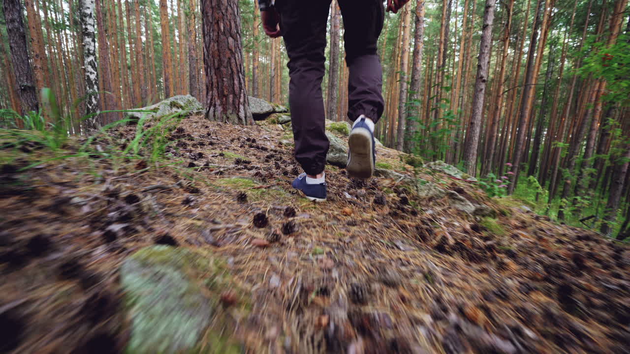 숲에서 산책하는 사람