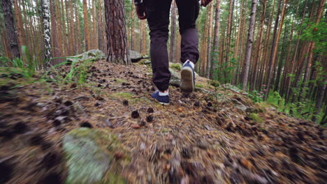 persona haciendo senderismo en un bosque