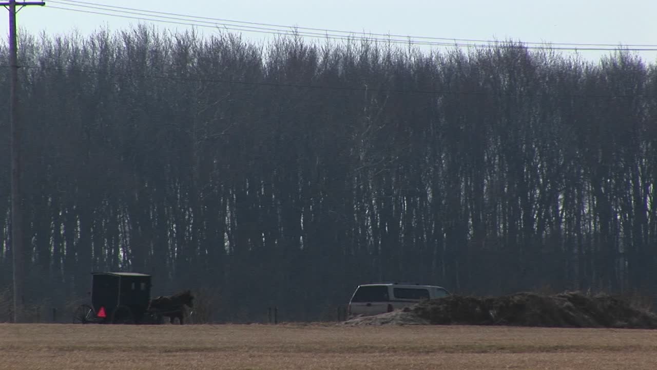 시골 고속도로에는 말과 마차, 현대 자동차가 있습니다.