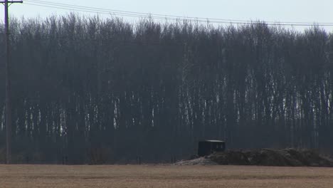 a rural highway has both horse and buggies and contemporary cars