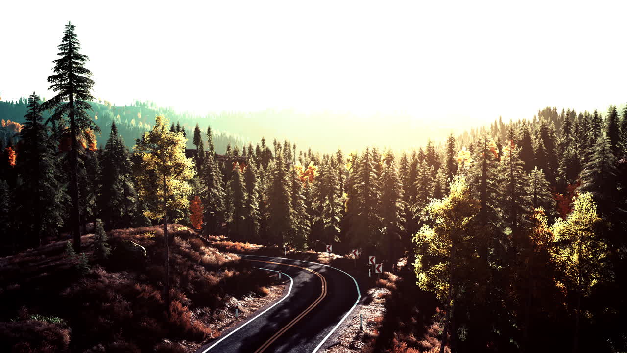 해가 지는 그림 같은 숲을 가로질러 휘어지는 조용하고 경치 좋은 도로