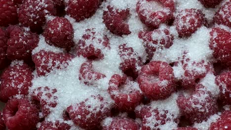 fresh raspberry fruit with sugar.