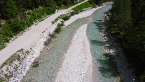 small freshwater stream on summer day in lush green forest during summer, aerial