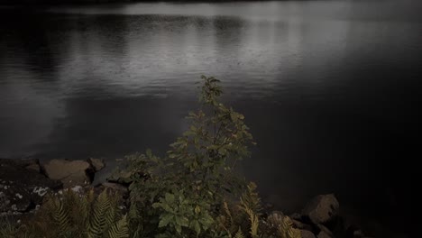 Walking-through-reservoir