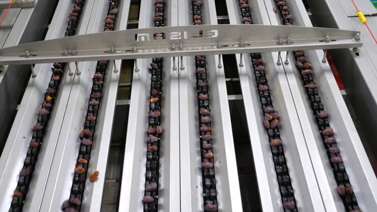 Static shot of dates going through the machine for a quality check process