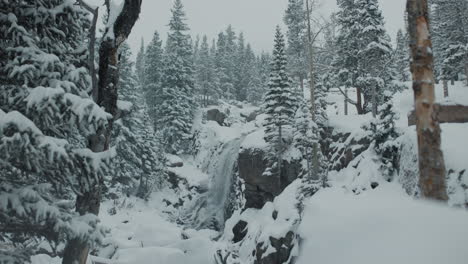 snowy waterfall in a winter forest