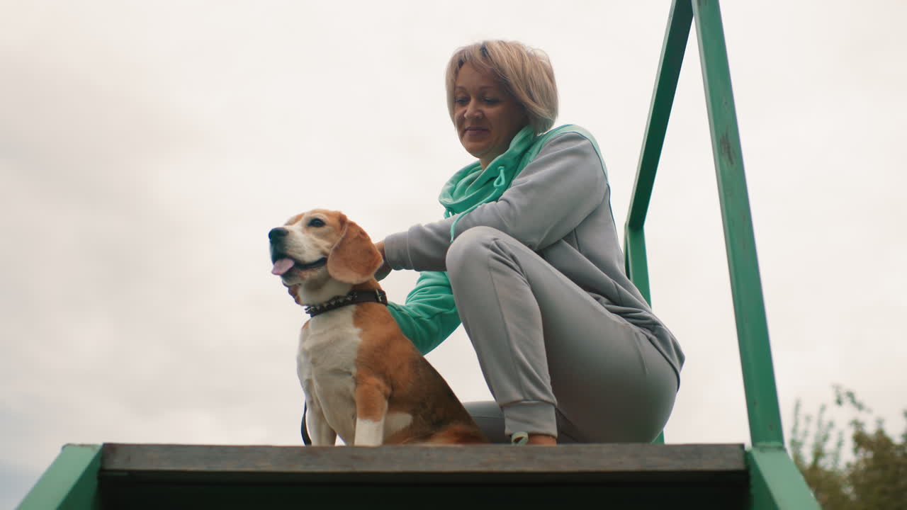 Trainer swatting and petting beagle dog sitting on wooden platform outdoors showing affection trust and playful bond under cloudy sky creating relaxed natural atmosphere between human and pet