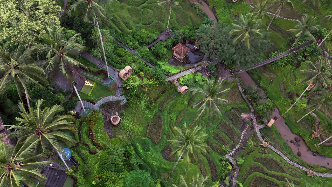 Drone video revealing a tropical adventure park in Ubud with a narrow river, sweeping rice terraces, dense palm areas, and popular swing points woven through the bright green Bali jungle surroundings