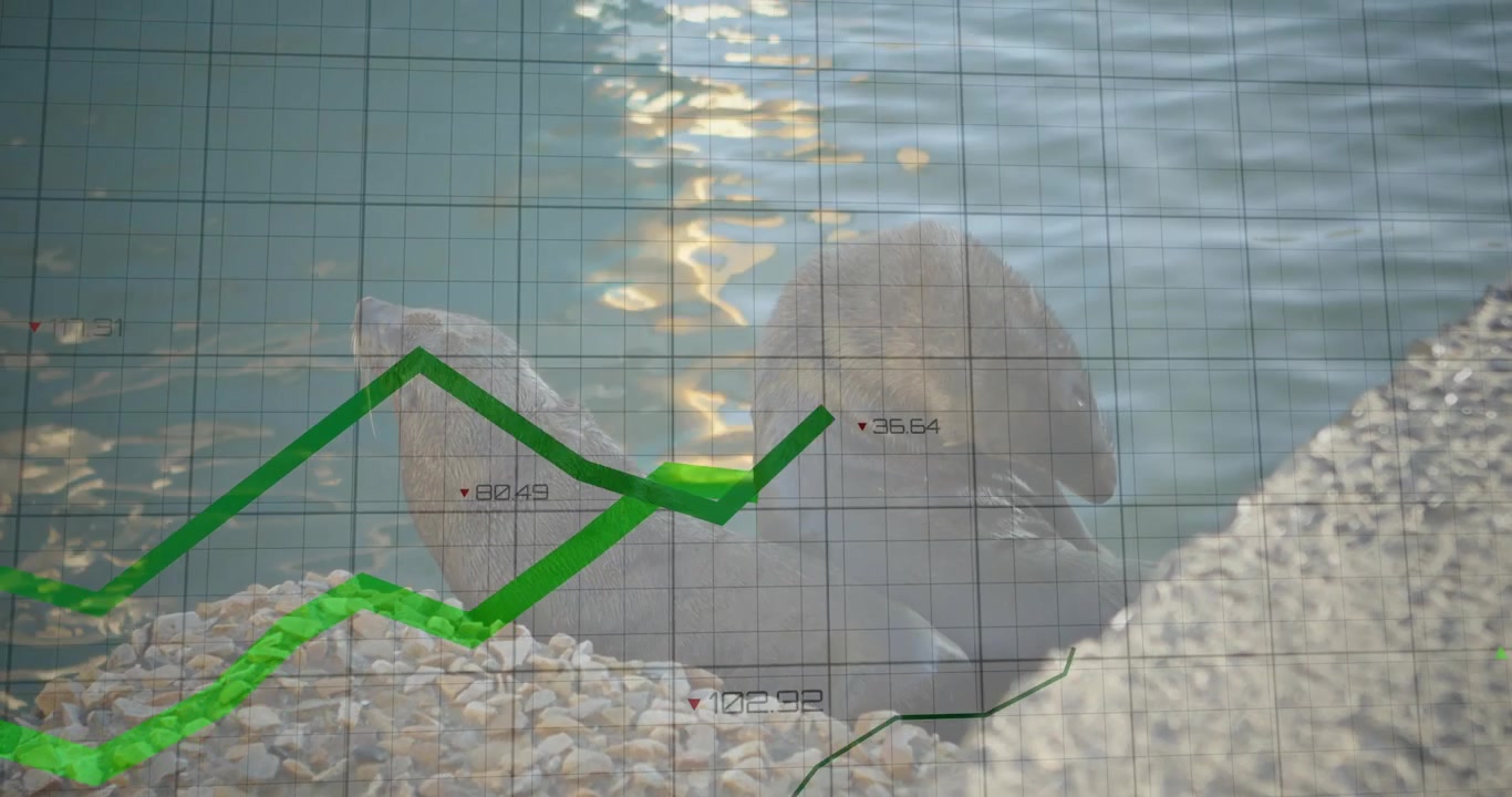 Tweede Zeeleeuw Klimt uit het Water en Voegt Zich bij Rustende Soortgenoot Terwijl Raster en Grafieken Trends Visualiseren