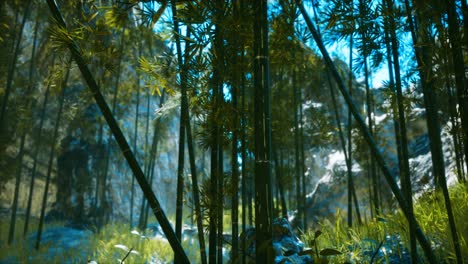 Bosque-De-Bambú-Asiático-Con-Luz-Solar