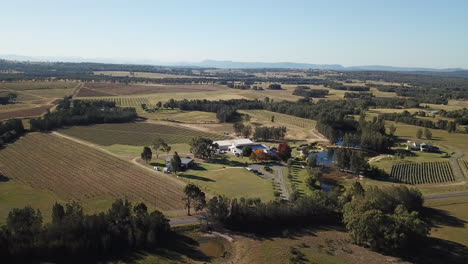 Hunter Valley, Vineyards, farm house and fields, aerial fly over