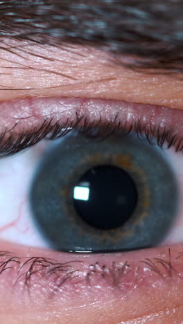 close-up of a human eye