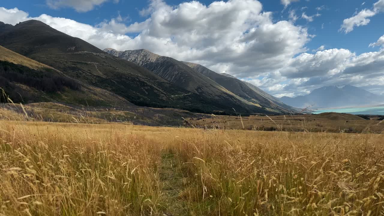 sendero estrecho que atraviesa pastizales secos de llanuras azotadas por el viento cerca del lago ohau, nueva zelanda