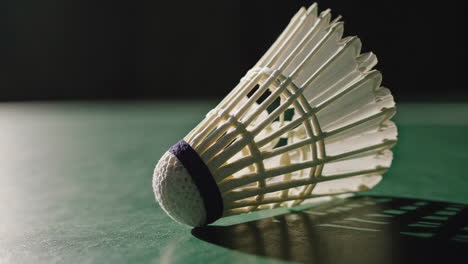 badminton shuttlecock on a green court
