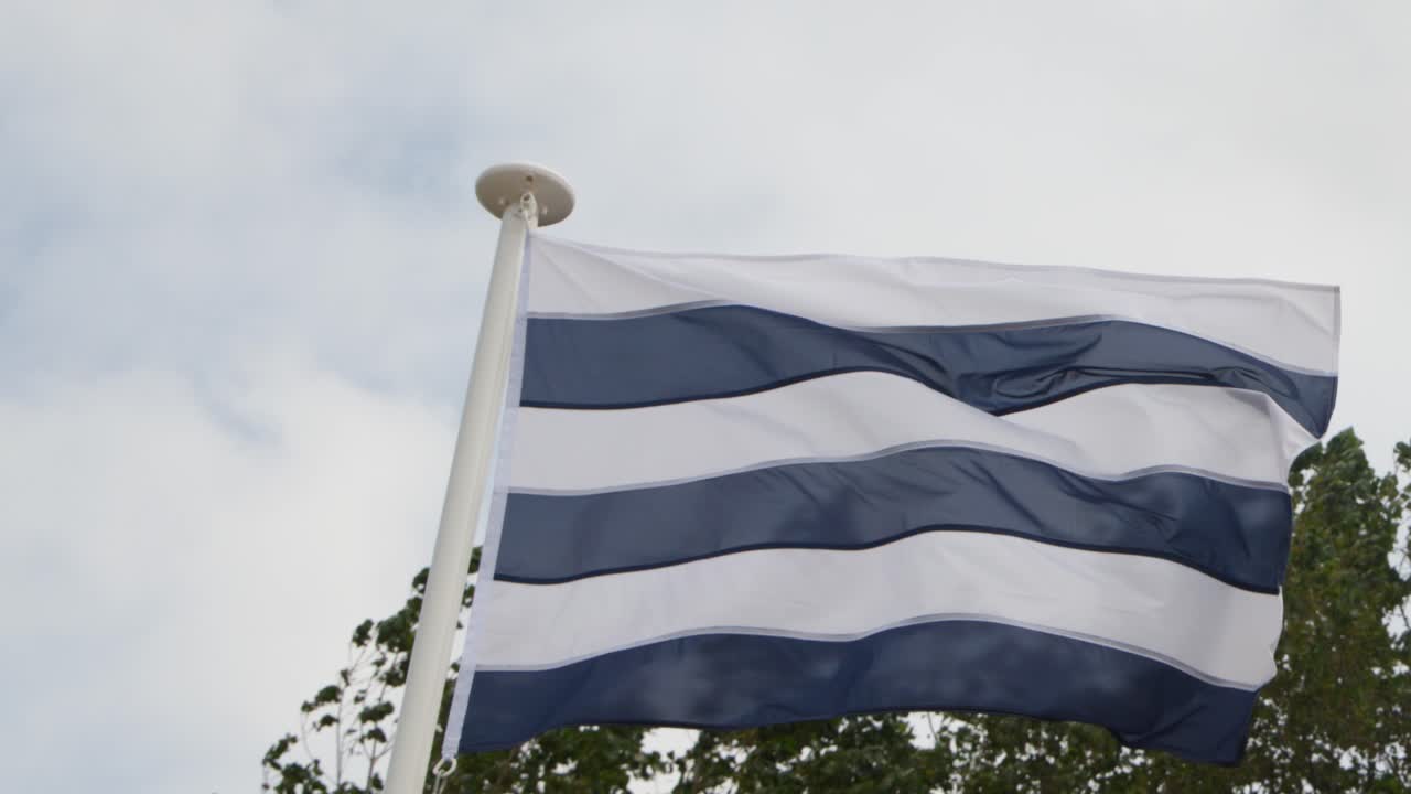 Horizontal striped flag flutters vigorously on pole, overcast daylight, outdoor memorial area, stable camera