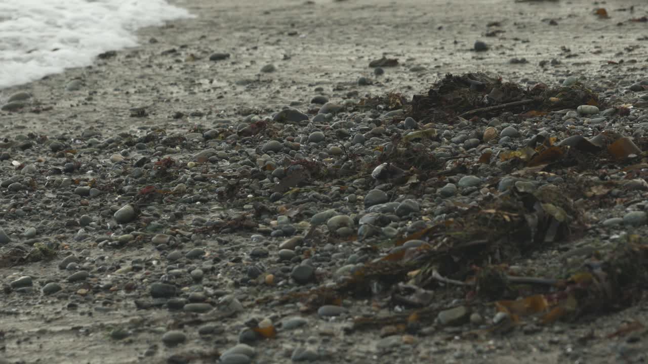 흐린 날 태평양 오레곤 해변의 망원 영상