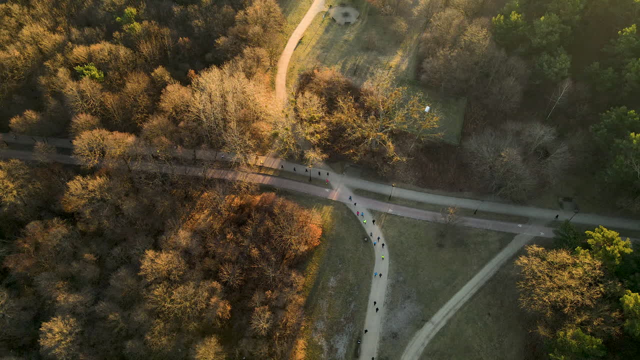 przymorze, 그단스크, 폴란드에서 일출 공원에서 실행 하는 사람들