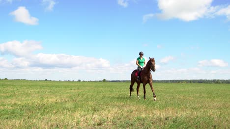 mujer a caballo en un campo