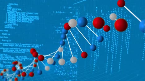 animación del hilado de la cadena de adn y el procesamiento de datos sobre fondo azul