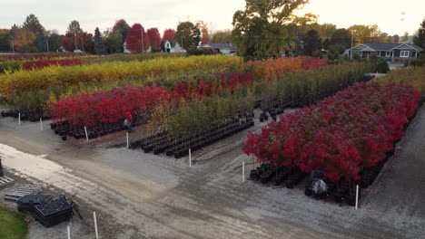 drone view colourful trees and bushes in beautiful niagara glen nature