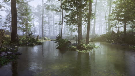 Serene forest landscape with misty waters and lush greenery at dawn